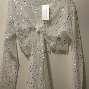 Hot & Delicious Mesh Tie Front Wrap Long Sleeve Cropped Top sparkly sheer